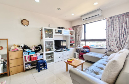 八德大湳天琴兩房車