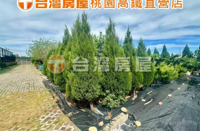 近桃園高鐵青埔A19捷運🌟千坪農園美資材室🌟