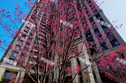 🔥中信王牌團隊🔥302🍎新宿面觀音山2房車🚈🍀💕🌸