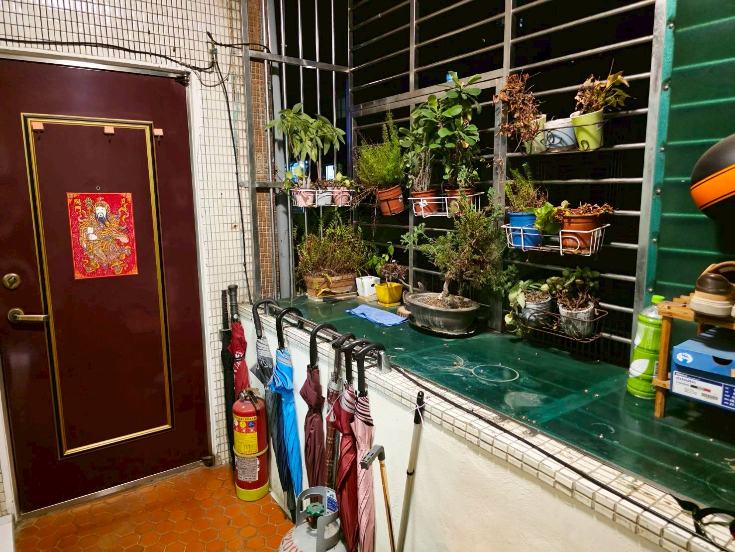 🔥中信王牌團隊獨家🔥618💎迴龍國小邊間頂佳 👍🍎🔥🌳