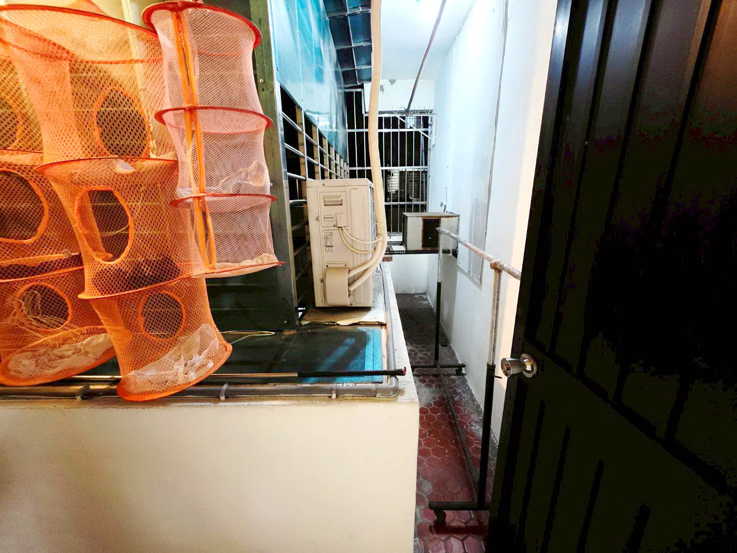 🔥中信王牌團隊獨家🔥618💎迴龍國小邊間頂佳 👍🍎🔥🌳