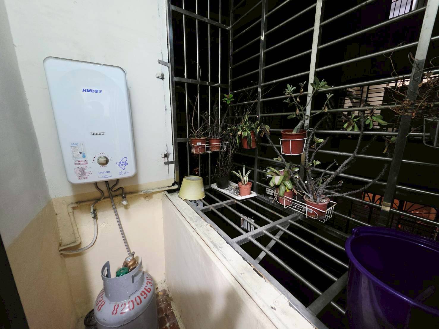 🔥中信王牌團隊獨家🔥618💎迴龍國小邊間頂佳 👍🍎🔥🌳