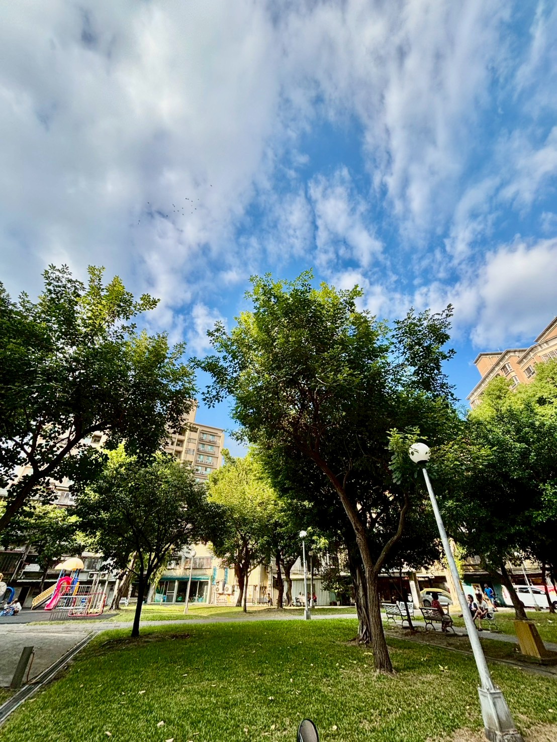 永福 前後陽台 採光三房坡平車