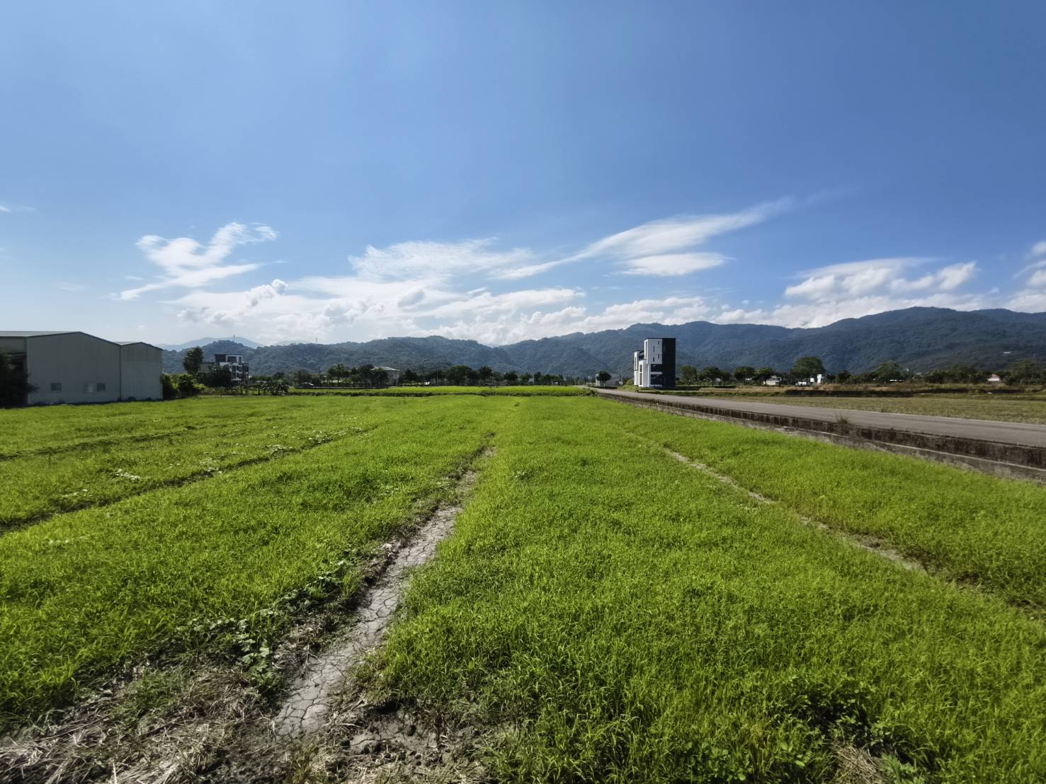 永慶許書豪★行健溪畔首排三面臨路農糧加工室