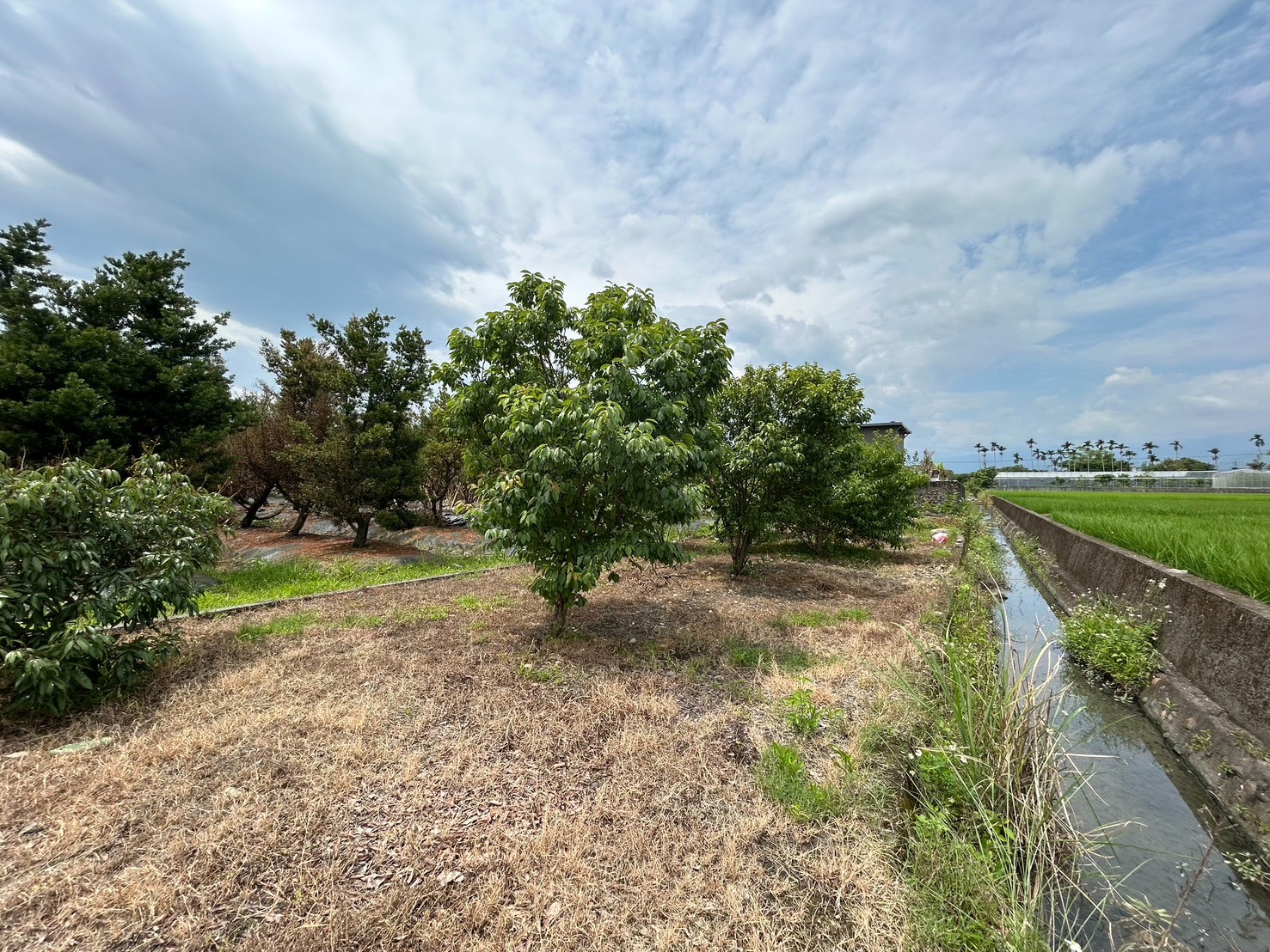 永慶許書豪★三星綠野仙蹤渡假屋