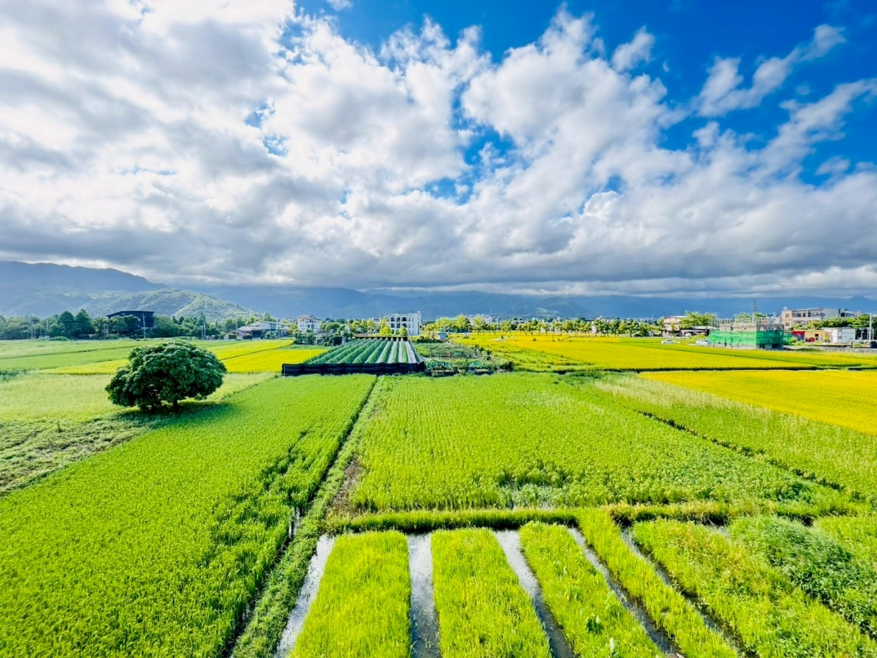 永慶許書豪★員山全新電梯農舍