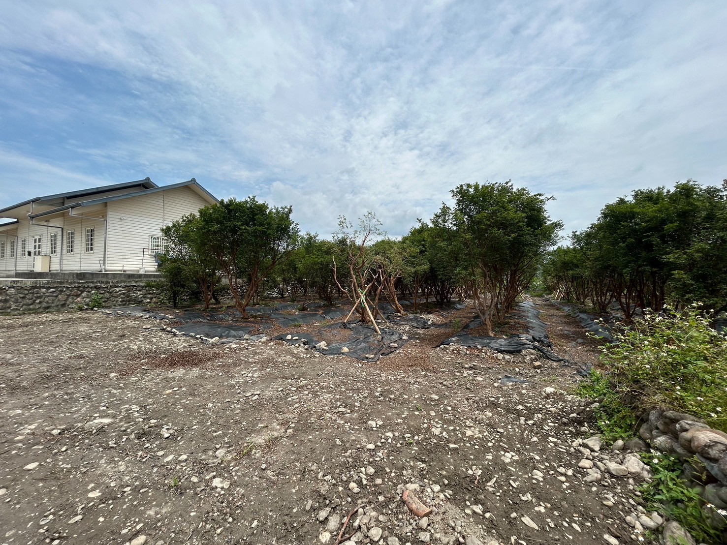 永慶許書豪★三星綠野仙蹤渡假屋