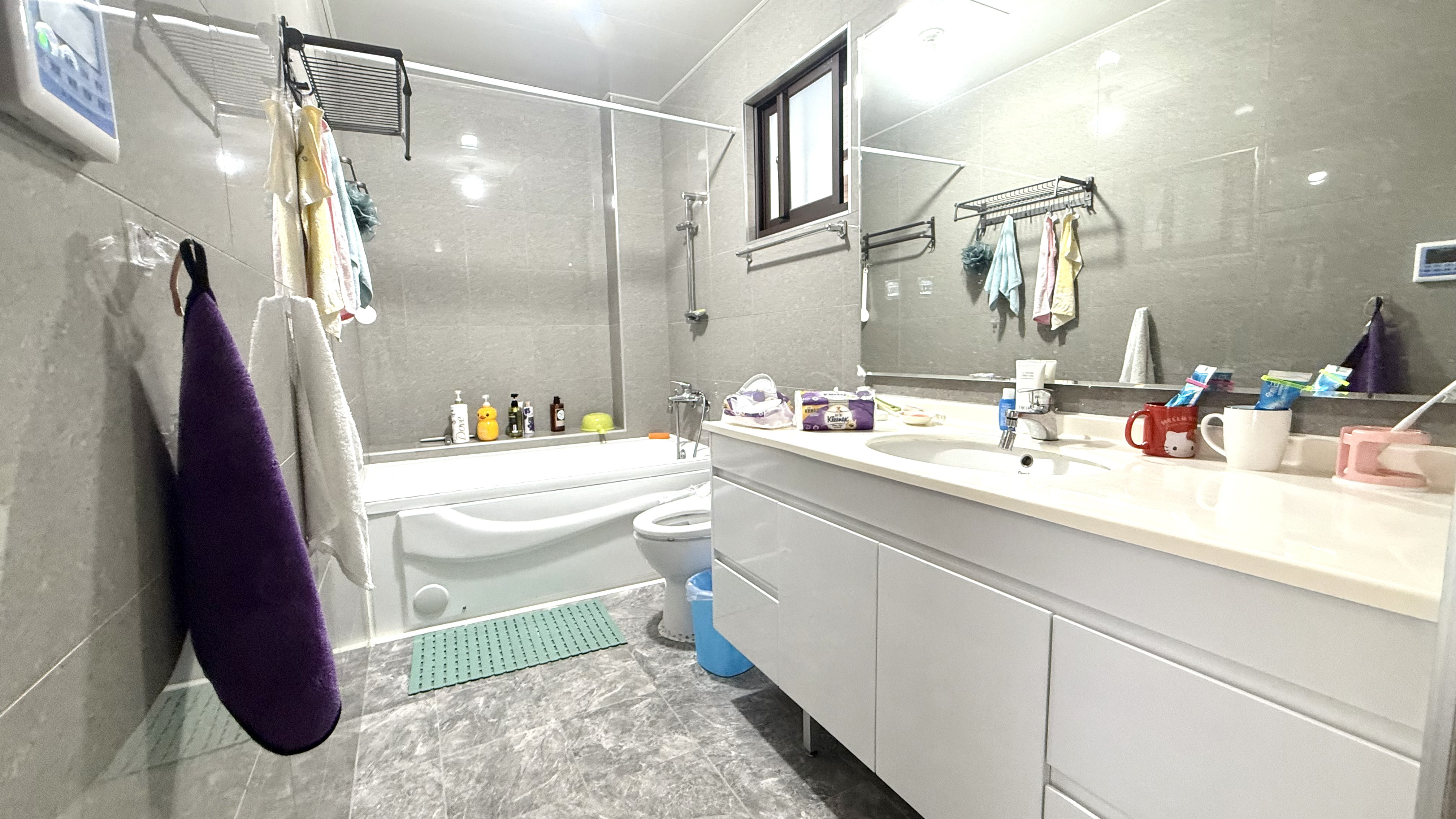 青埔買房買屋 楊梅夢想莊園三期大地坪6米面寬雙車位別墅