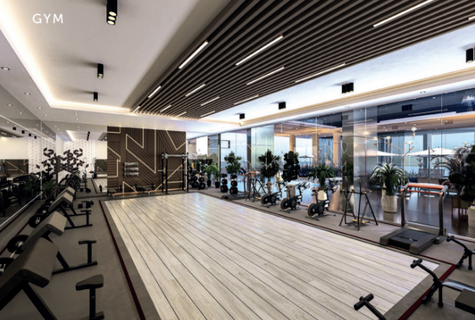 【 Danube|Elitz 2 】 【 Danube|Elitz 2 】