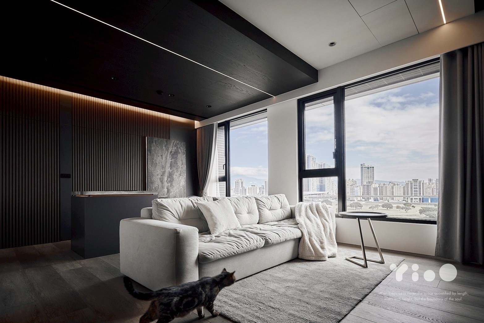 知森 一年高質感新屋 大都會公園第一排