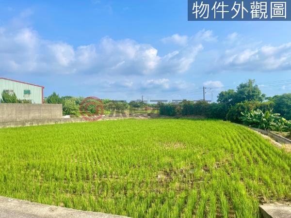 台中大肚沙田路旁大面寬農地【KK在地通】