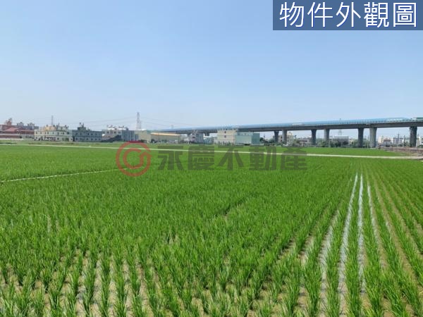 台中大肚便宜方正農建地【KK在地通】