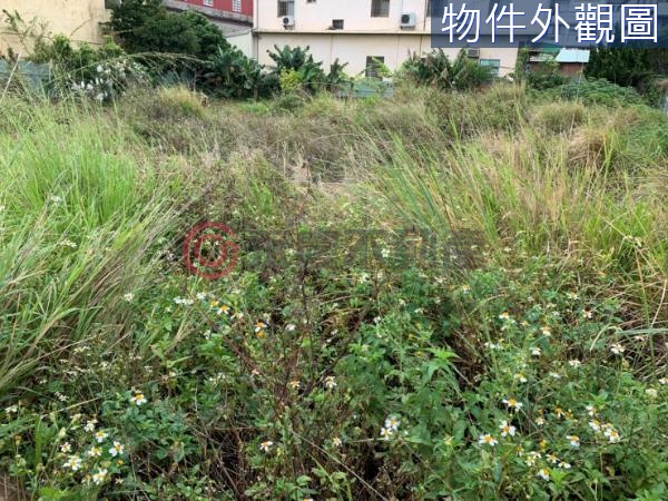 台中大肚20米路黃金地段方正地【KK在地通】