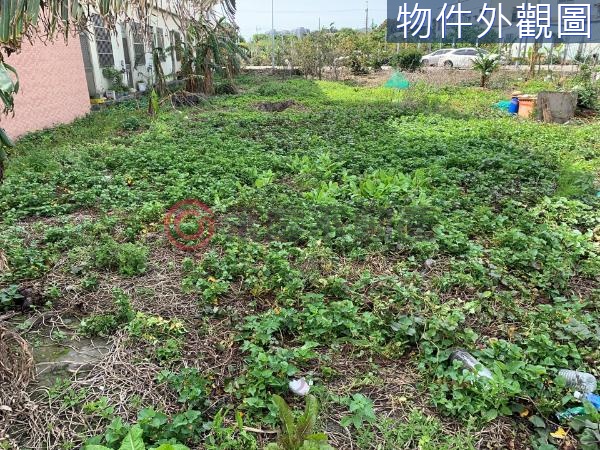 台中大肚便宜方正農建地【KK在地通】