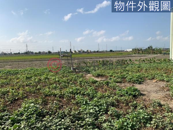 台中大肚便宜方正農建地【KK在地通】