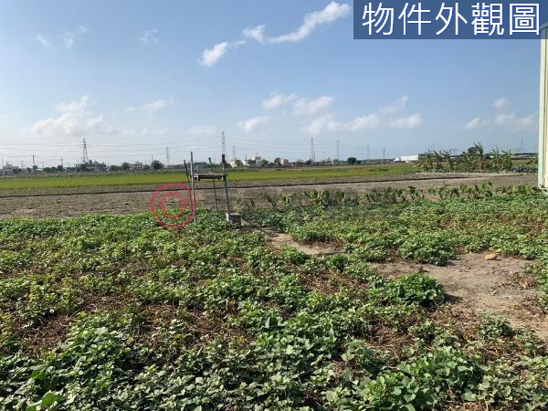 台中大肚便宜方正農建地【KK在地通】