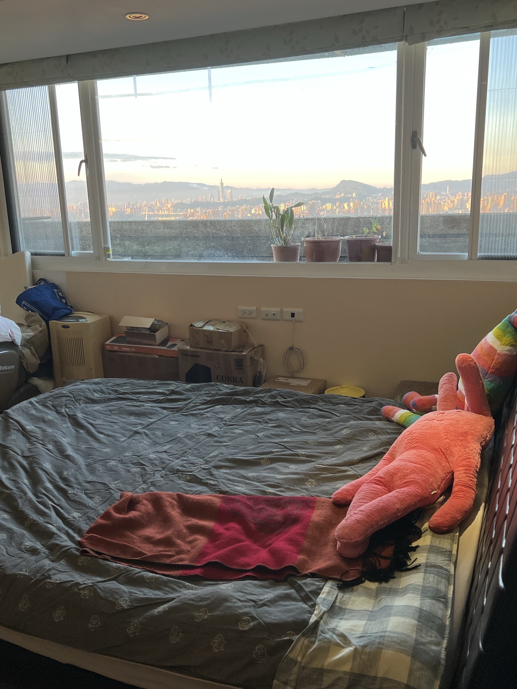 3房＋1車＋101夜景｜達觀鎮A2無價景觀宅🌟*