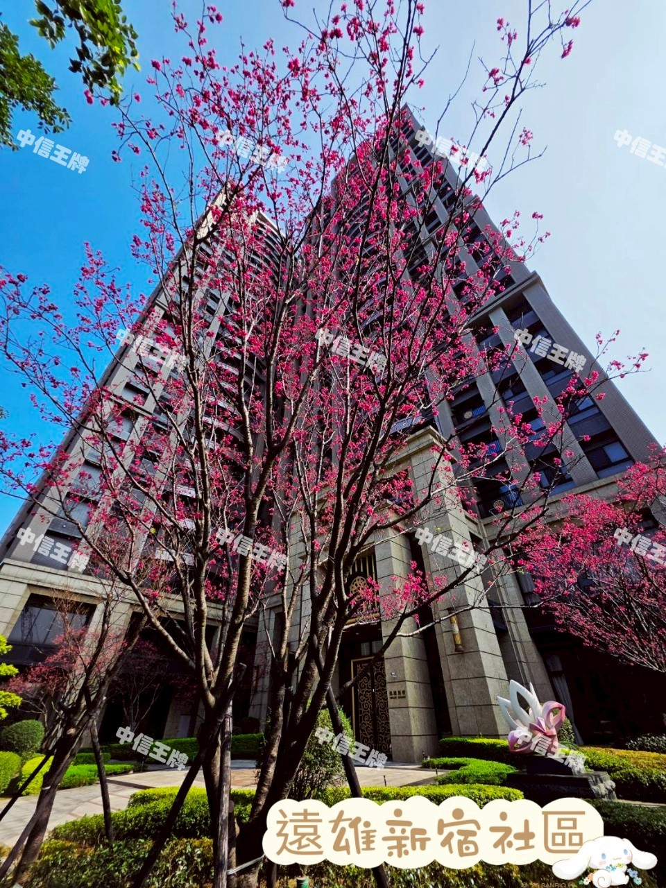 🔥中信王牌團隊🔥303🍎獨賣副都心遠雄新宿景觀2房車🌸🚈💕🌳