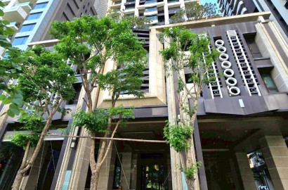 🔥中信王牌團隊🔥253🍎獨賣麗寶中央星鑽 🚈🍀💕🌸🌳