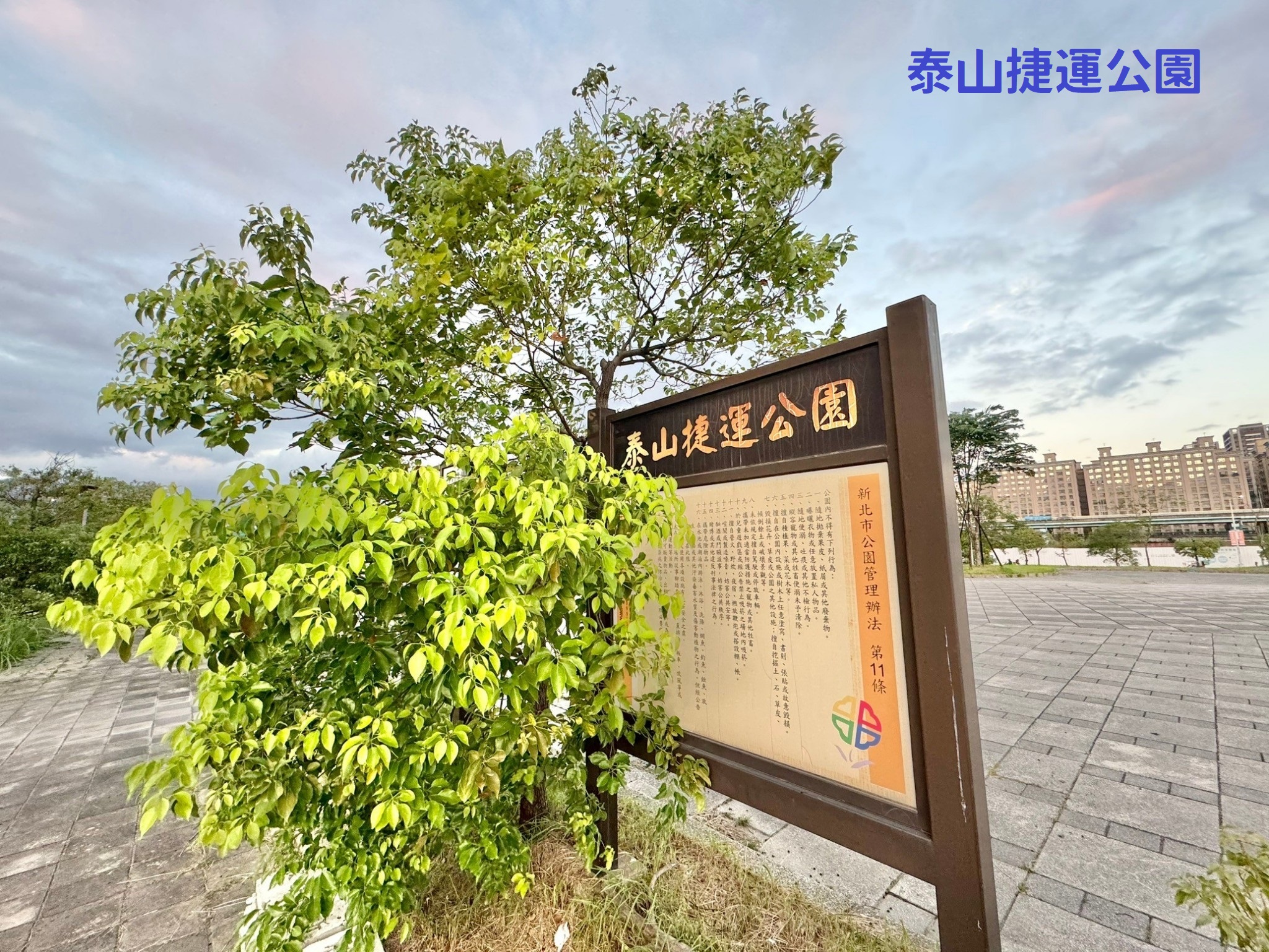 【王牌獨賣】552🍎獨賣新潤A5大道鎏域3房車🚈🌸🌳👍
