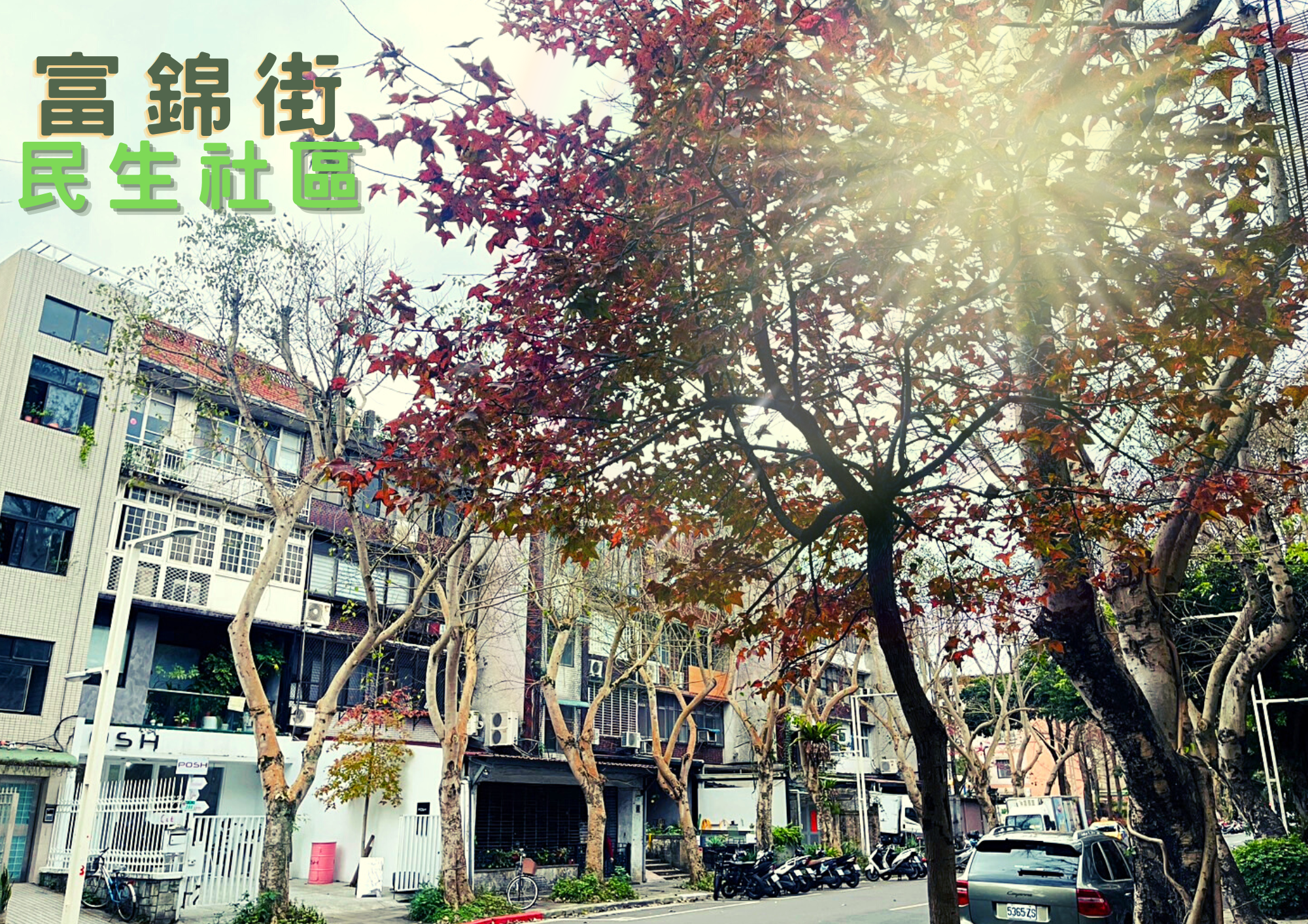 😍專約推薦捷民生社區富錦街庭院一樓