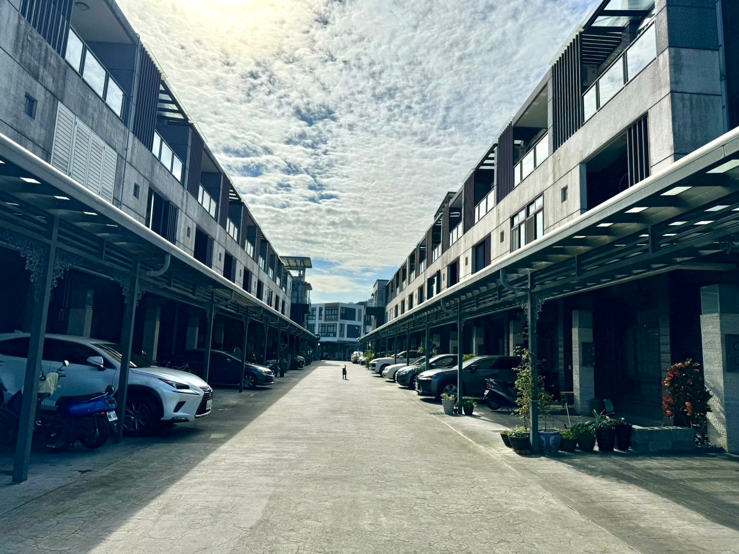 永慶許書豪★近國五雙車位大坪數孝親房別墅