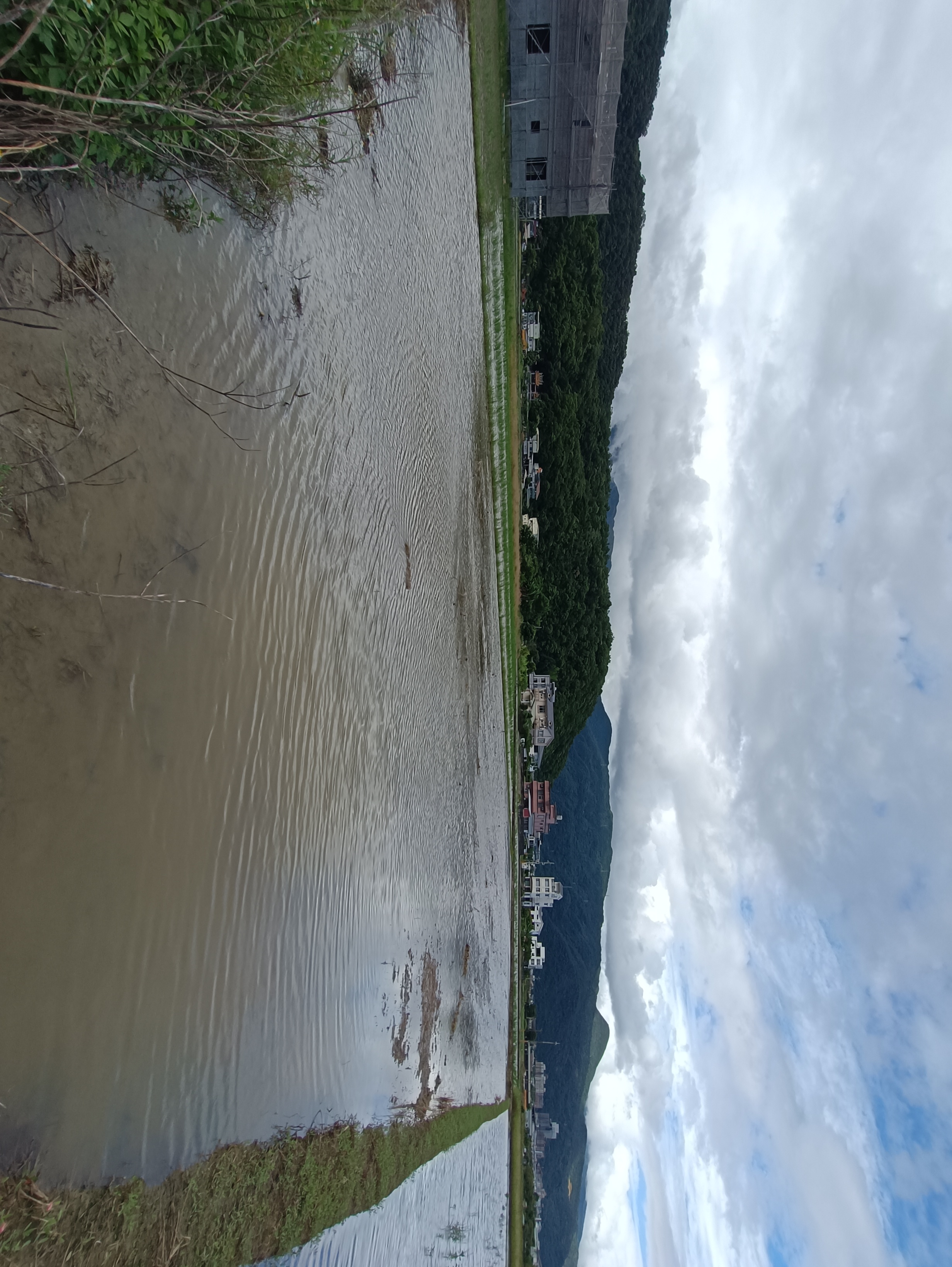 白鵝田園山景資材室