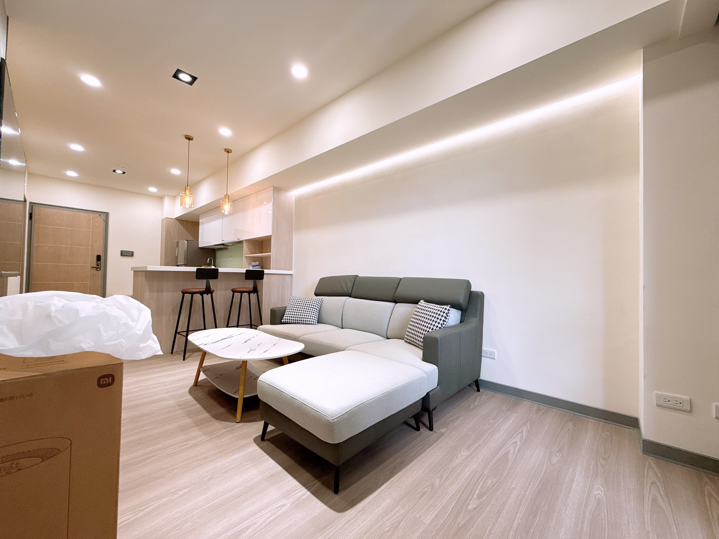 東區丨新年新希望 就看這一道 LALAPORT台中新站精裝兩房平車