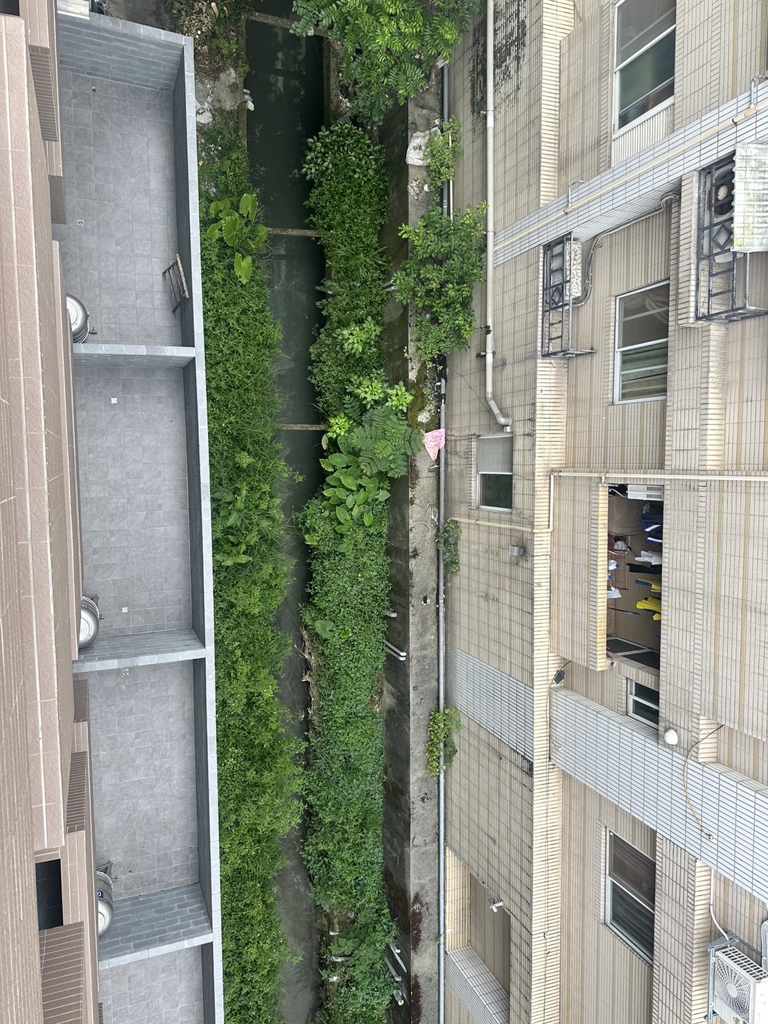 青埔買房買屋 八德忠勇街全新電梯透天別墅