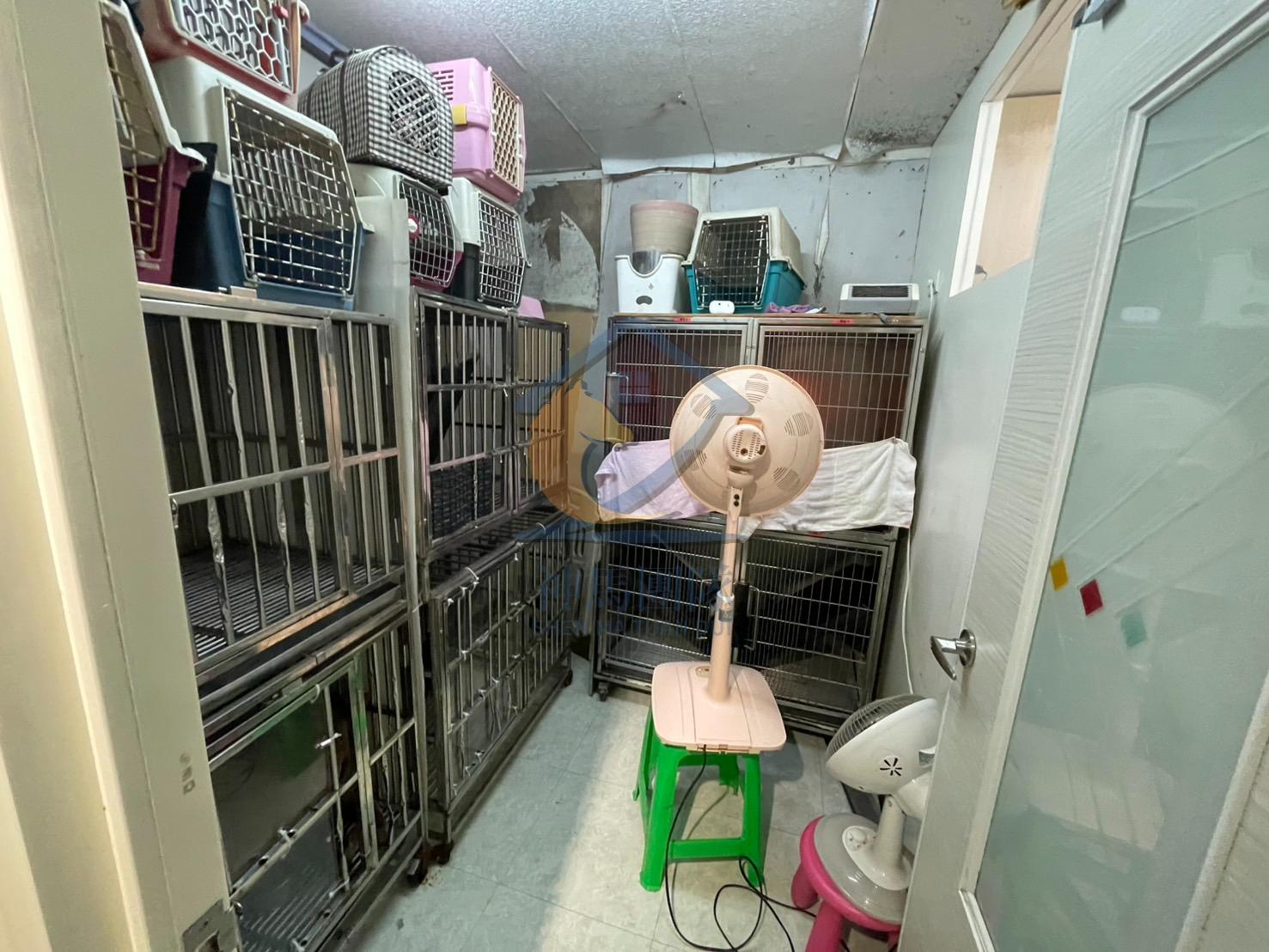 青埔買房買屋 環南路1+2樓超值黃金店面
