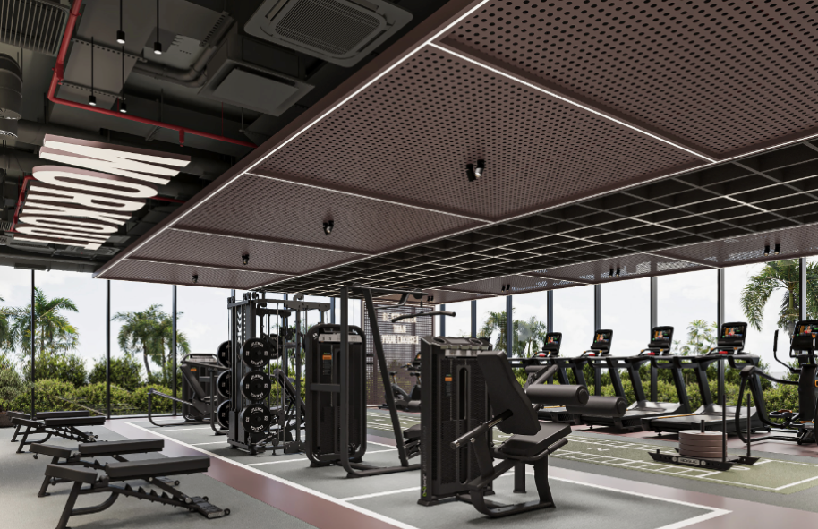 【 Iman｜Sierra 】